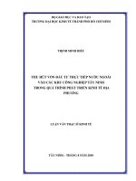 Thu hút vốn đầu tư trực tiếp nước ngoài vào các khu công nghiệp Tây Ninh trong quá trình phát triển kinh tế địa phương
