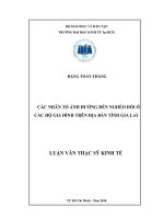 Các nhân tố ảnh hưởng đến nghèo đói ở các hộ gia đình trên địa bàn tỉnh Gia Lai