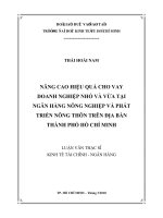 nâng cao hiệu quả cho vay doanh nghiệp nhỏ và vừa tại ngân hàng nông nghiệp và phát triển nông thôn trên địa bàn Thành phố Hồ chí Minh