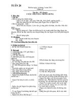 Giáo án lớp 3 tuần 28( Hồng Thoa)