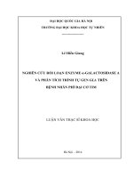 nghiên cứu rối loạn enzyme α–galactosidase a và phân tích trình tự gen GLA trên bệnh nhân phì đại cơ tim