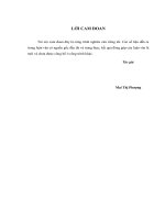 Hoàn thiện phân tích báo cáo tài chính tại công ty cổ phần Bia và Nước giải khát Việt Hà