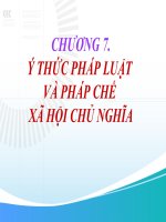 Giáo trình bài giảng pháp luật đại cương chương 7
