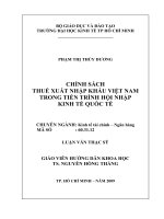Chính sách thuế xuất nhập khẩu Việt Nam trong tiến trình hội nhập kinh tế quốc tế