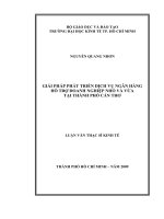 Giải pháp phát triển dịch vụ ngân hàng hỗ trợ doanh nghiệp nhỏ và vừa tại thành phố Cần Thơ