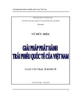 Giải pháp phát hành trái phiếu quốc tế của Việt Nam  Luận văn thạc sĩ