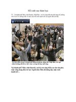 Tinh thần Nhật Bản..