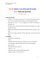 Động vật sống dưới nước