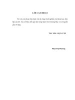 Giải pháp nâng cao hiệu quả sử dụng vốn tại Công ty Cổ phần đầu tư phát triển đô thị và khu công nghiệp