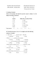 Đề HKII Tiếng Anh 6 - 6