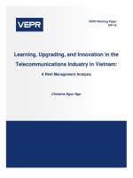 Learning, upgrading, and innovation in the telecommunications industry in vietnam a rent management analysis