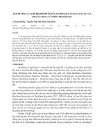 Ảnh hưởng của chế độ bón phân hữu cơ đến khả năng sản xuất của một số giống cỏ nhóm Brachiaria