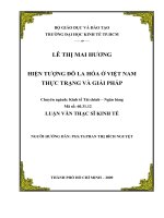 Hiện tượng đô la hóa ở Việt Nam thực trạng và giải pháp