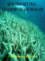 Tiết 55 Bài 48 Thiên Nhiên Châu Đại Dương