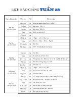 giáo án lớp 2 tuần 28