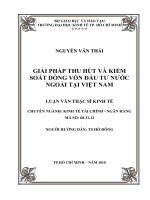 Giải pháp thu hút và kiểm soát dòng vốn đầu tư nước ngoài tại Việt Nam