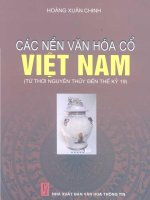 Ebook CÁC NỀN VĂN HÓA CỔ VIỆT NAM