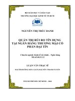 Quản trị rủi ro tín dụng tại Ngân hàng thương mại cổ phần Đại Tín