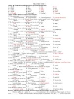 on thi TN THPT- tieng anh 2011