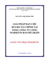 Giải pháp hạn chế rủi ro tài chính tại tổng công ty công nghiệp in - Bao bì Liksin  Luận văn thạc sĩ