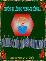 cơ quan thần kinh