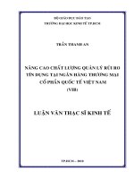 Nâng cao chất lượng quản lý rủi ro tín dụng tại ngân hàng thương mại cổ phần quốc tế Việt Nam (VIB)