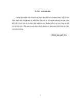 luận văn quản trị kinh doanh Hoạt động kinh doanh nhập khẩu của Công ty VILEXIM thực trạng và giải pháp