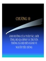Giáo trình Hành vi người tiêu dùng chương 10