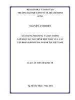Xây dựng nội dung và quy trình lập báo cáo tài chính hợp nhất của các tập đoàn kinh tế đa ngành tại Việt Nam