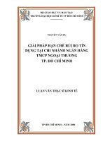 Giải pháp hạn chế rủi ro tín dụng tại chi nhánh ngân hàng TMCP ngoại thương TPHCM  Luận văn thạc sĩ