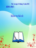 slide khoa học 5 -nhôm _GV H.Đ Phương