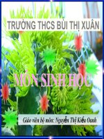 bai 45 Nguon goc cay trong