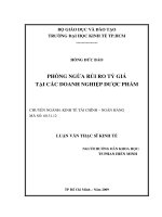 Phòng ngừa rủi ro tỷ giá tại các doanh nghiệp dược phẩm  Luận văn thạc sĩ