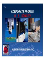 BÁO CÁO-CORPORATE PROFILE HỒ SƠ CÔNG TY