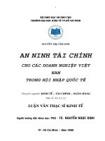 An ninh tài chính cho các doanh nghiệp Việt Nam trong hội nhập quốc tế