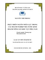 Phát triển nguồn nhân lực trong các doanh nghiệp nhà nước kinh doanh nông sản khu vực phía Nam