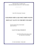 Giải pháp chiến lược phát triển nguồn nhân lực tại TP Cân Thơ đến năm 2020