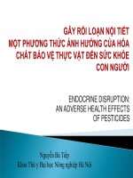 Cơ chế tác động và ảnh hưởng của hóa chất bảo vệ thực vật gây rối loạn nội tiết