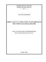 chiến lược của tổng công ty bảo hiểm bảo việt trong giai đoạn 2014   2020