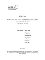 báo cáo đánh giá tác động của các hiệp định thương mại tự do đối với việt nam