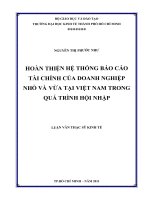 Hoàn thiện hệ thống báo cáo tài chính của doanh nghiệp nhỏ và vừa tại Việt Nam trong quá trình hội nhập
