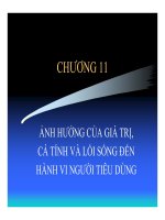 Giáo trình Hành vi người tiêu dùng chương 11