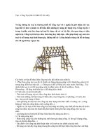 Mô hình cổng trại