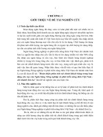 Hoàn thiện phân tích tài chính khách hàng trong hoạt động cho vay của Ngân hàng Nông nghiệp và phát triển nông thôn Việt Nam - chi nhánh Sơn La