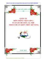 GIÁO ÁN MÔN TIẾNG VIỆT LỚP 2  TUẦN 20 CHI TIẾT, CỤ THỂ    THEO CHUẨN KIẾN THỨC KĨ NĂNG.