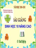 BÀI 40-41: ẢNH HƯỞNG CỦA CÁC YẾU TỐ ĐẾN  SINH TRƯỞNG CỦA VSV