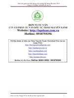 Báo cáo giám sát chất lượng môi trường công ty gỗ cao su