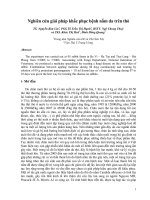 Nghiên cứu giải pháp khắc phục bệnh nấm da trên thỏ