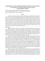 Ảnh hưởng của nước tưới đến sinh trưởng, năng suất, chất lượng của hai giống cây họ đậu (keo giậu K636 và stylo CIAT 184) trong vụ đông