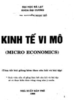Kinh tế vi mô - tóm tắt bài giảng kèm theo câu hỏi và bài tập